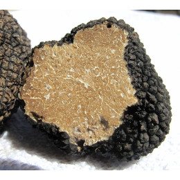 White truffle (Tuber Aestivum) 1KG