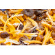 Dried cantharellus lutescens - 1kg