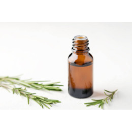 Rosemary essential Oil Bio - 1kg