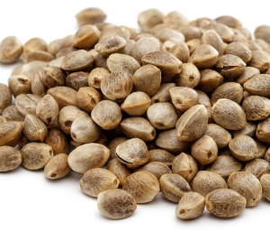 Semillas de cáñamo naturales - 25kgs
