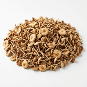 Senderuela deshidratada (Marasmius oreades) - 7kgs