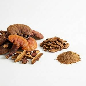 Reishi polvo premium - 1kg