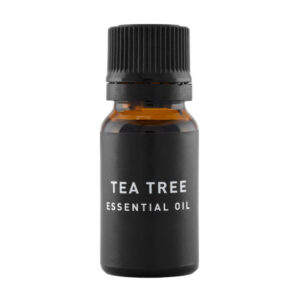 Organic tea tree essential oil - 1kg