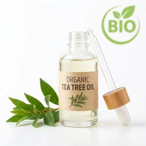 Aceite esencial de árbol del té BIO - 1kg