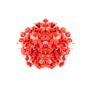 Fresa liofilizada - 1kg