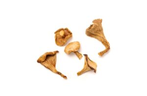 Rossinyol Cantharellus cibarius deshidratado - 7kgs