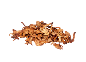 Rossinyol Cantharellus cibarius deshidratado - 7kgs