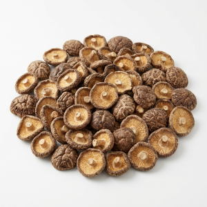 Shiitake (Lentinula edodes) Premium - 7kgs