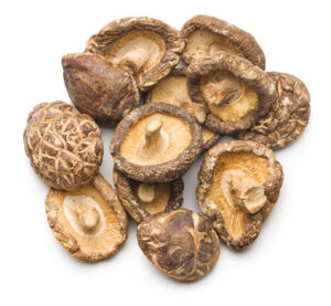 Shiitake (Lentinula edodes) Premium - 7kgs