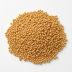 Semilla de mostaza amarilla - 25kgs