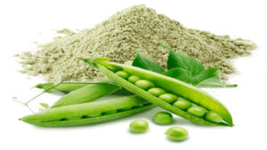 VEGAN Pea protein 80% - 20kgs